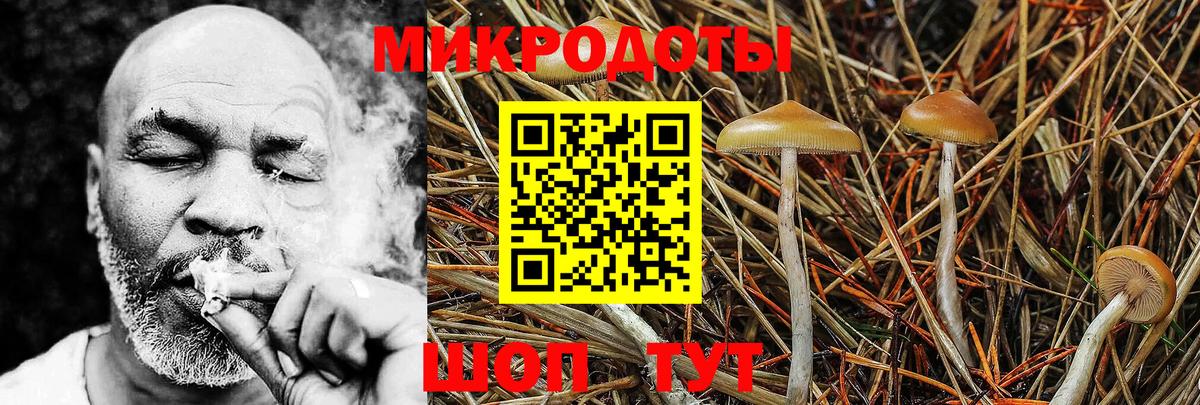Галлюциногенные грибы мицелий Донской