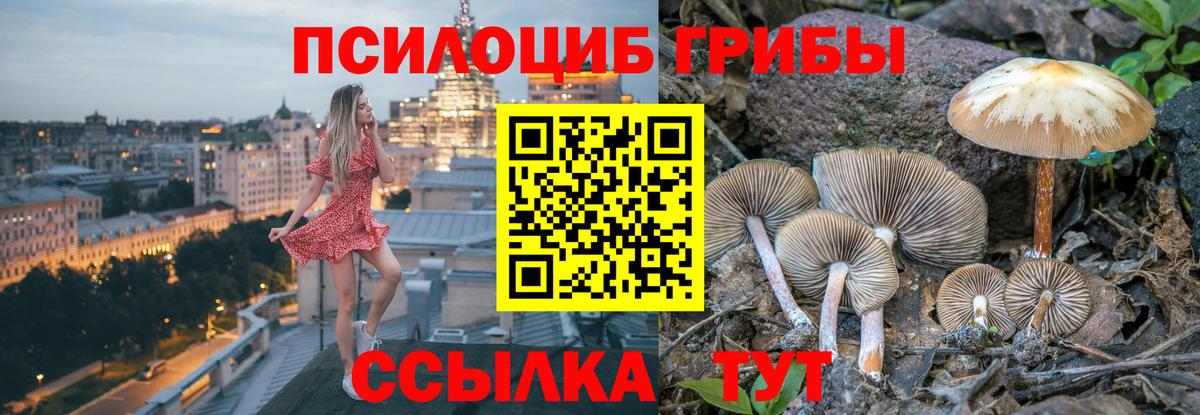Галлюциногенные грибы прущие грибы  Галлюциногенные грибы Magic Shrooms  Вход с VPN  Донской 